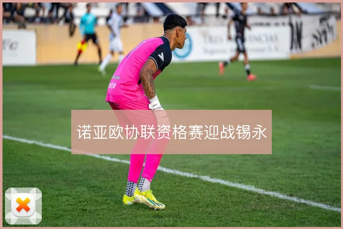 诺亚欧协联资格赛迎战锡永