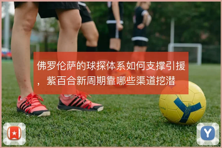 佛罗伦萨的球探体系如何支撑引援，紫百合新周期靠哪些渠道挖潜