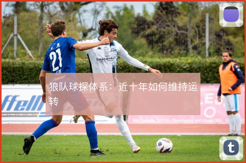 狼队球探体系:近十年如何维持运转